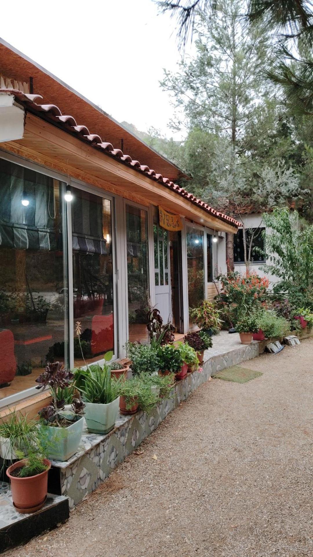 Bovilla Canyon Dajti Extérieur photo